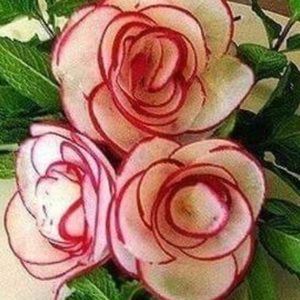 Meet your Posher, Lilly